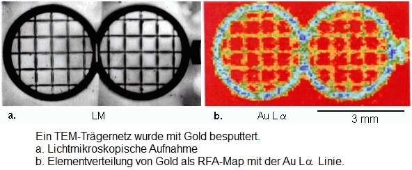 RFA-Verteilungsbild von Gold